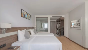 Executive Twin Sea View