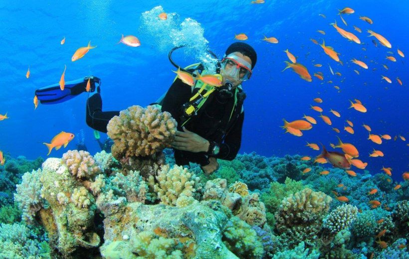 Tour Snorkeling 3 Đảo